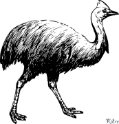 emus Stranice Za Bojanje Za Štampanje